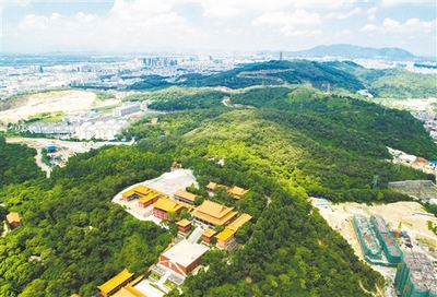 “创森”铸就绿色高新、宜居江海_江门_中山视窗_中山特色的地方综合门户网之一!