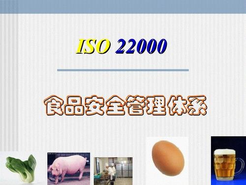 中山南头镇iso22000食品安全认证