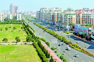 汕头绿化苗木自给率达八成多--广东视窗--人民网