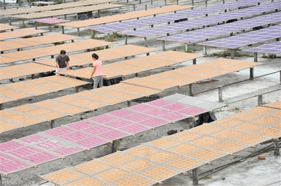 三步走打造“世界华人香都”_江门_中山视窗_中山特色的地方综合门户网之一!