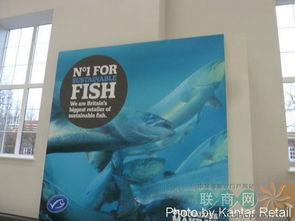 图赏 | 英伦小清新超市Sainsbury's，中山视窗里的异国风情